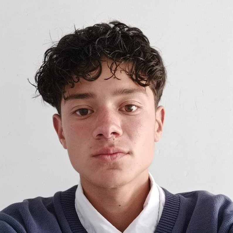 User Image
