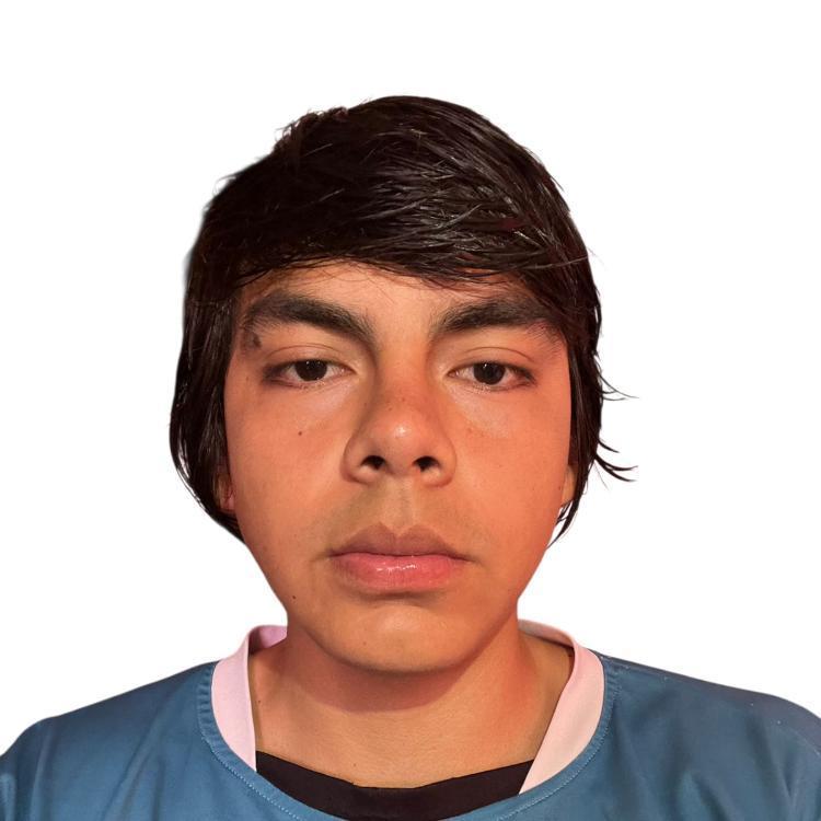 User Image